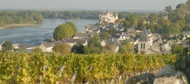 Les Vins du Val de Loire et les appellations