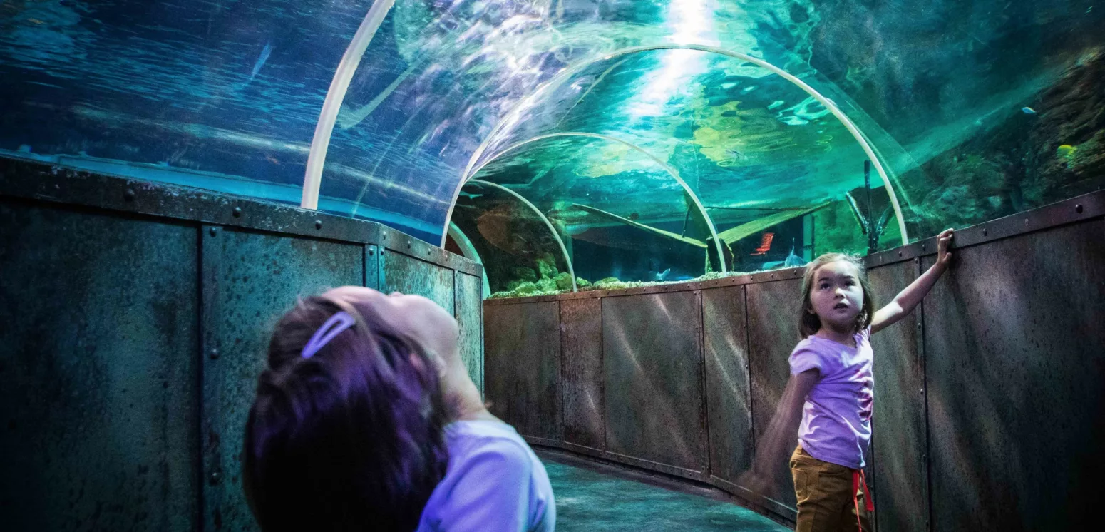 GrandAquarium_enfants3_GrandAquariumdeTouraine