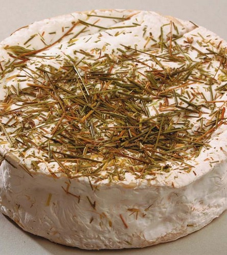 fromage-olivet-foin-loire-valley