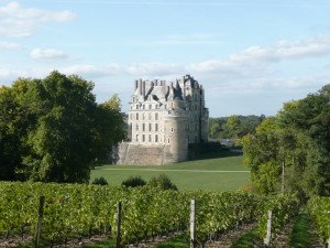 chateau-brissac-vignes-anjou-kormin-wikimedia