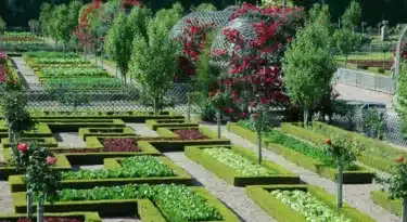jardin-ecologique-chateau-villandry-potager