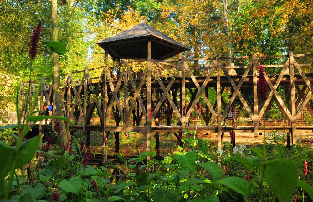 pont-double-clos-luce-nadegevillain