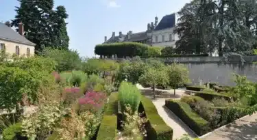 jardins-roi-blois-davidinc