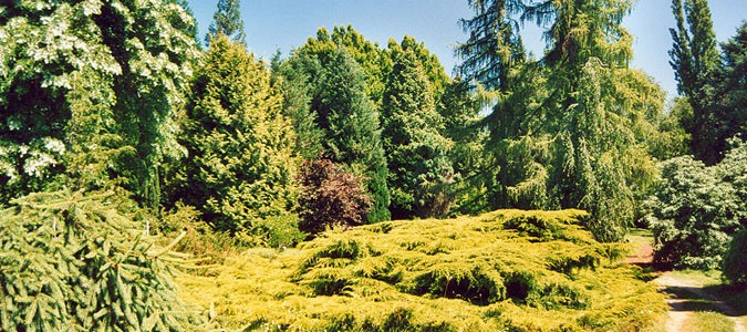 arboretum-nogent-sur-vernisson
