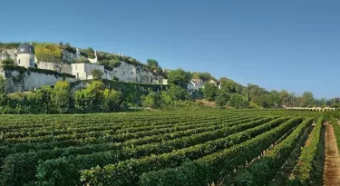 turquant-cite-caractere-saumur