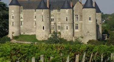 vins-loire-millesime-2013