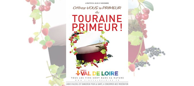 vins-loire-touraine-primeur-2013