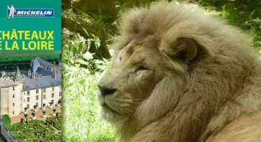 zoo-beauval-guide-vert-michelin