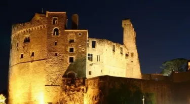 Le château de Clisson de nuit - © Brice44