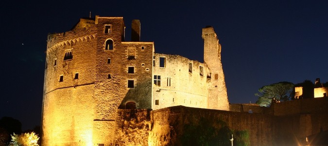 Le château de Clisson de nuit - © Brice44