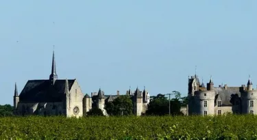 montreuil-bellay-my-loire-valley-