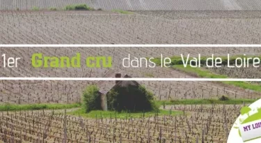 premier-grand-cru-val-de-loire