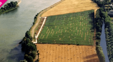 labyrinthe-beaugency-hante-loire-event