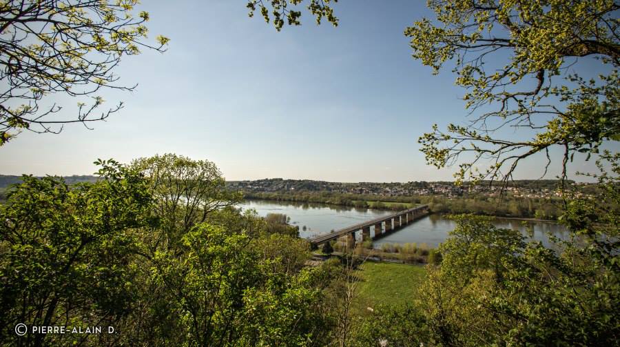 val-de-loire-oudon-champtoceaux