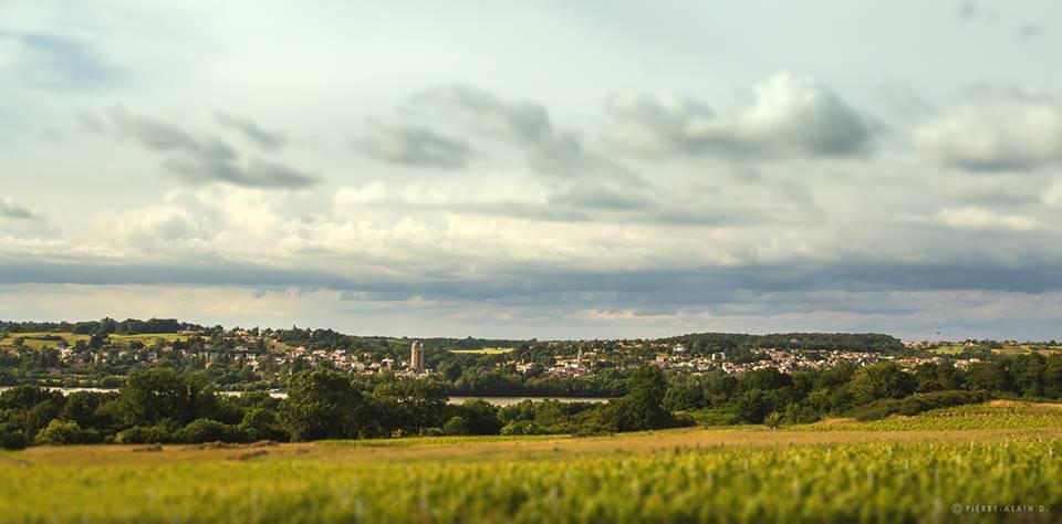 val-de-loire-oudon-champtoceaux