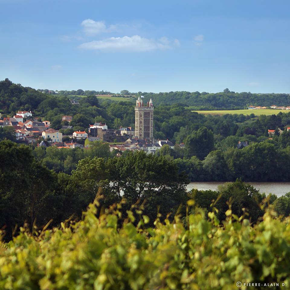 val-de-loire-oudon-champtoceaux