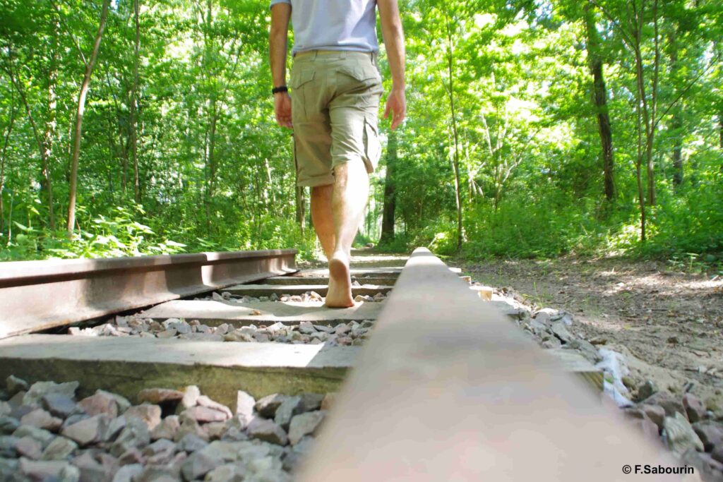 sentier-train-sabourin