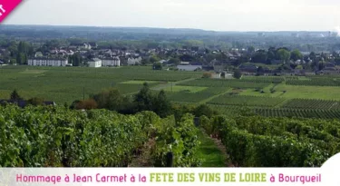 fete-vins-val-de-loire-bourgueil-2014