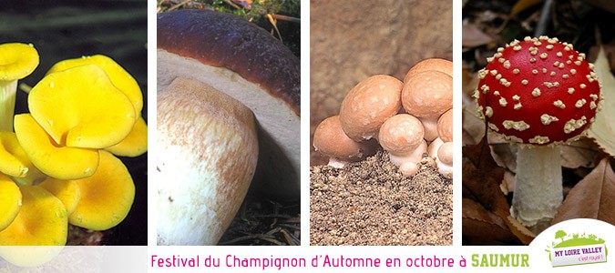 festival-champignons-automne-2014-troglodytes-saumur