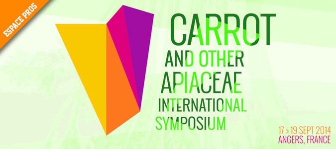 symposium-carottes-autres-apiacees-angers-2014