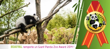 Le Zoo de Beauval récompensé aux Giant Panda Zoo Awards 2014 !