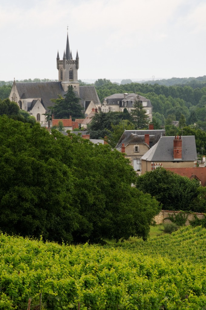 Château et Vignobles de Valençay
