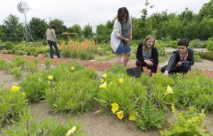 parc-decouverte-cap-loire-jardins-ddrouet