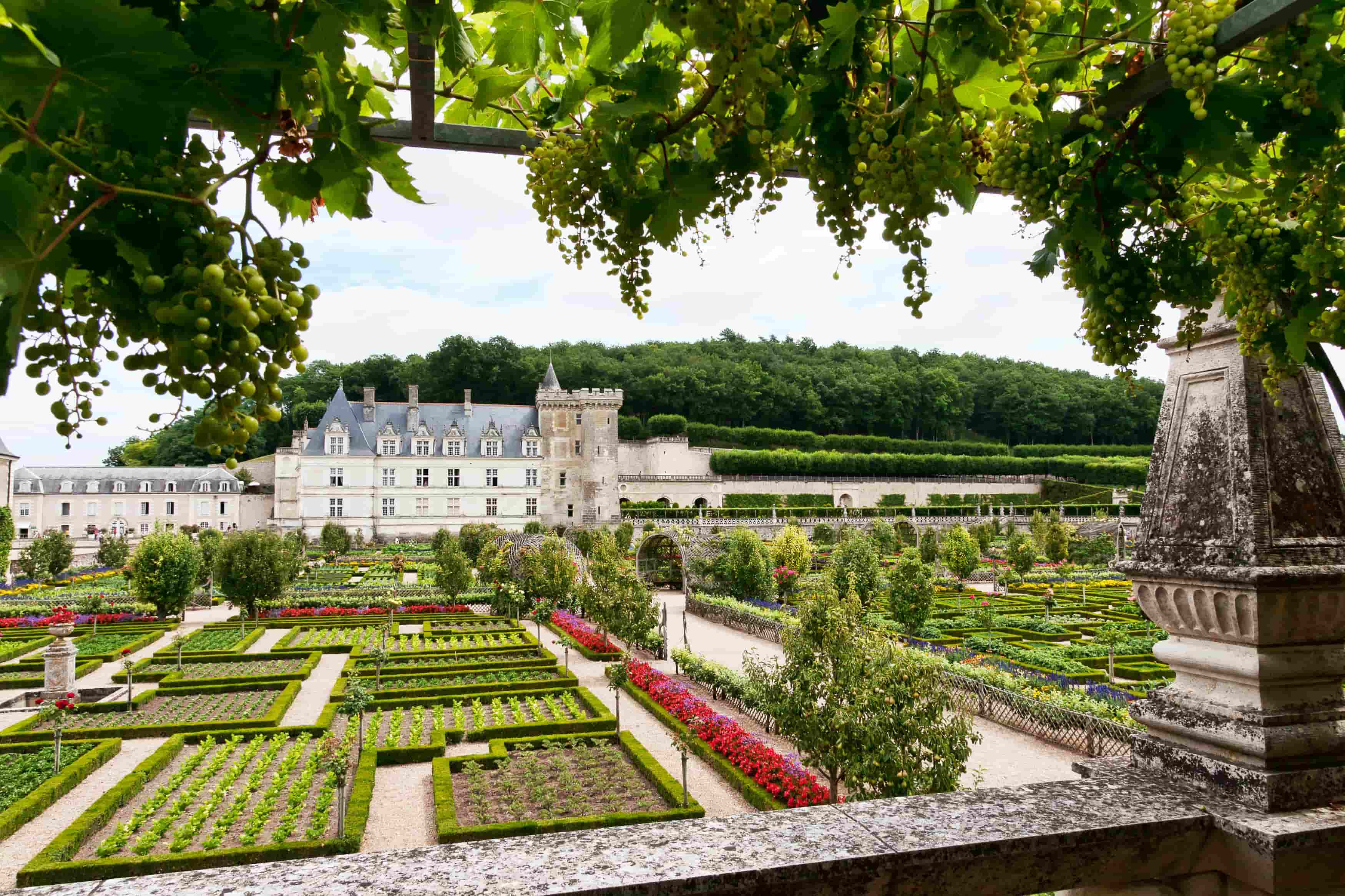 Château de Villandry Val de Loire