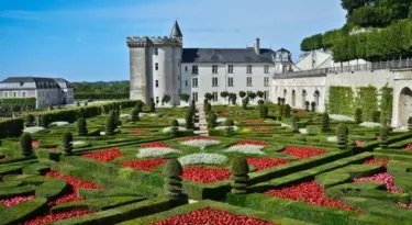chateau-villandry-tulipes-floraison-2015