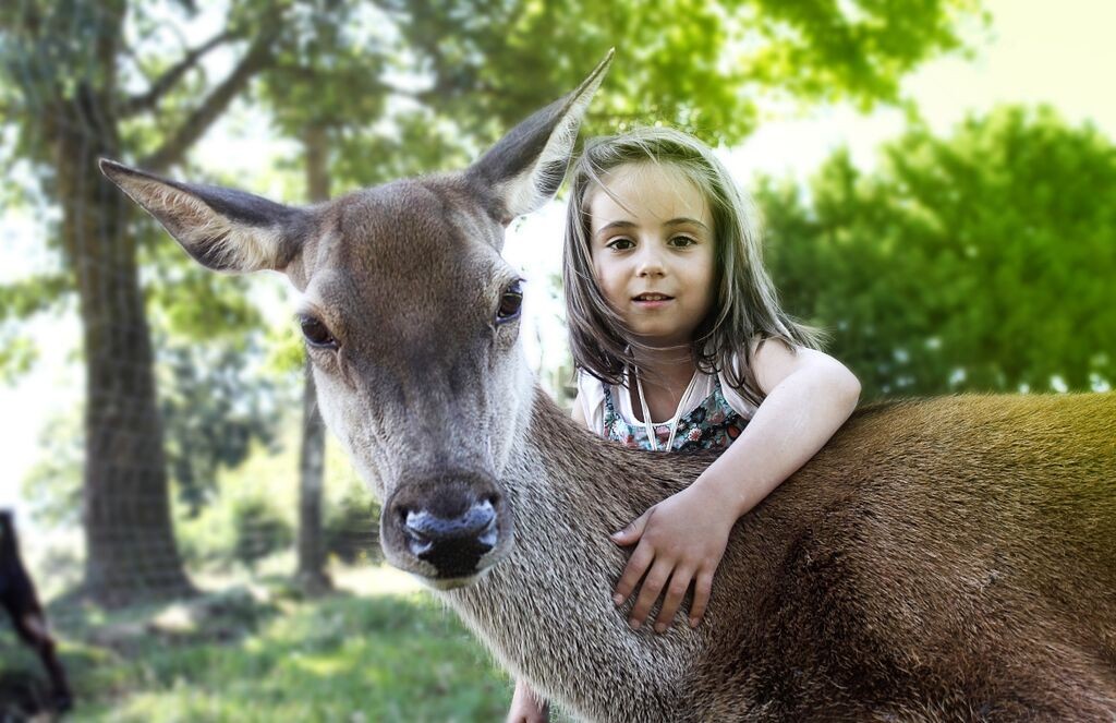 Biche-Natural-Parc