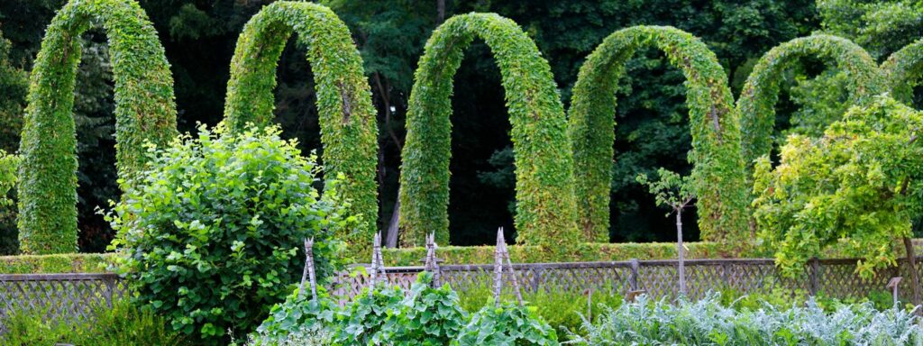 chateau-de-chamerolles-escapades-jardins