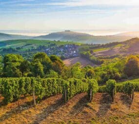 Vignoble Sancerre Berry