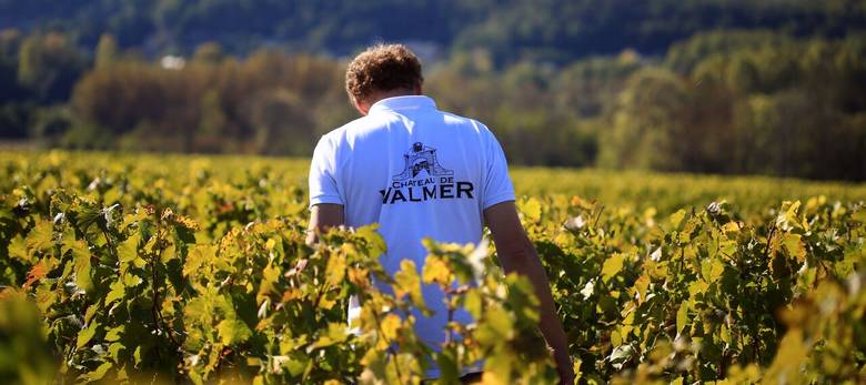 caves-ouvertes-marche-gourmand-noel-chateau-valmer