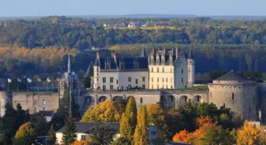 chateau-royal-amboise-2016-annee-leonard-de-vinci