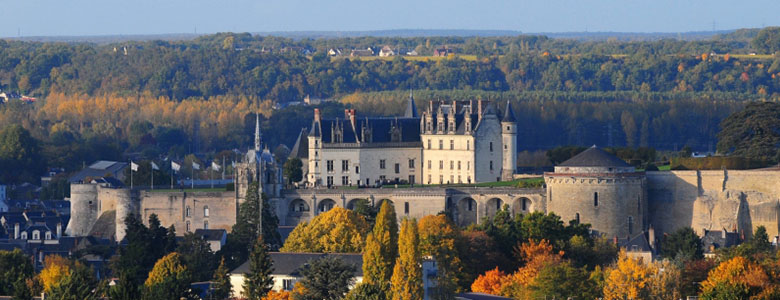 chateau-royal-amboise-2016-annee-leonard-de-vinci
