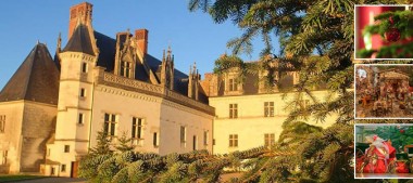 Vivez un Noël Gourmand au Château royal d’Amboise !
