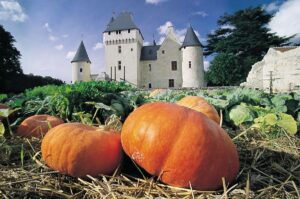 chateau-rivau-citrouille