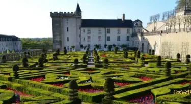 chateau-villandry-tulipes-jardins-ornements
