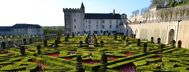 chateau-villandry-tulipes-jardins-ornements