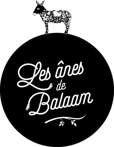 logo-anes-balaam