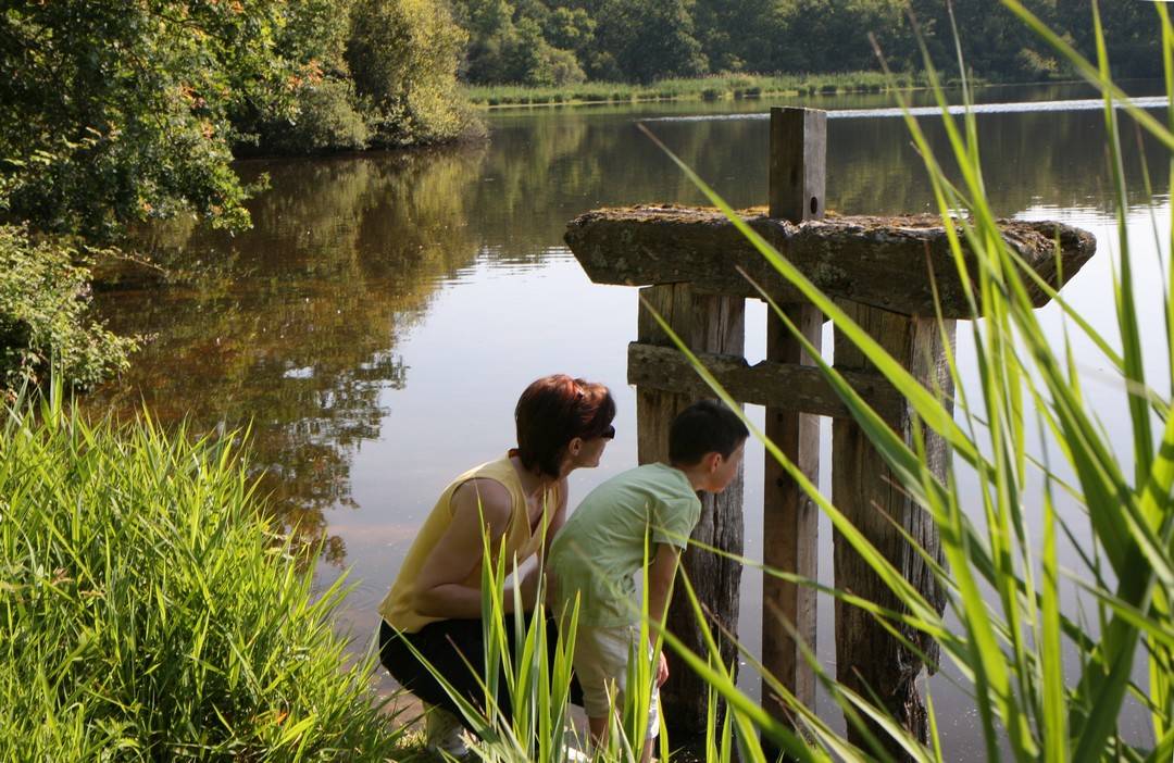 maison-des-etangs-st-viatre-etang