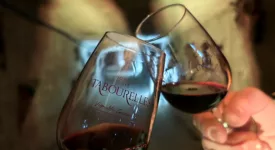 Dégustation de vin Troglodegusto