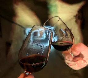 Dégustation de vin Troglodegusto