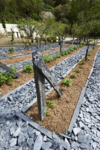 chateau-gaillard-amboise-petits-fruits