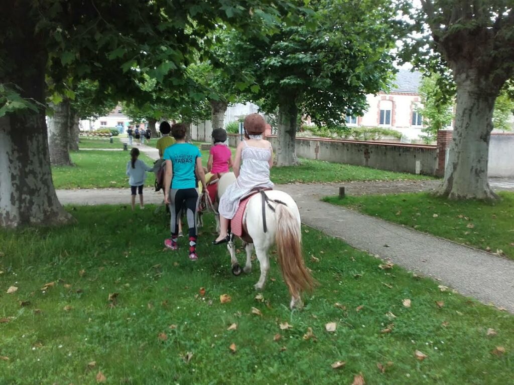 Camping Bois du Bardelet Poney