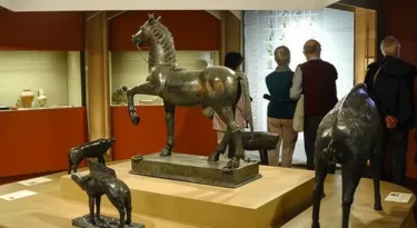 Musée Historique et Archéologique d'Orléans - My Loire Valley