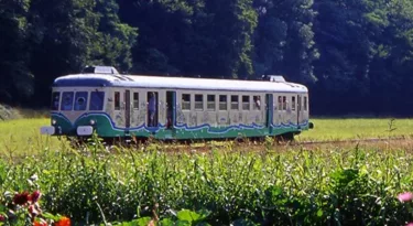 train-touristique-de-la-vallee-du-loir-CDT41-dsourice