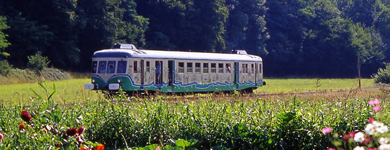 train-touristique-de-la-vallee-du-loir-CDT41-dsourice