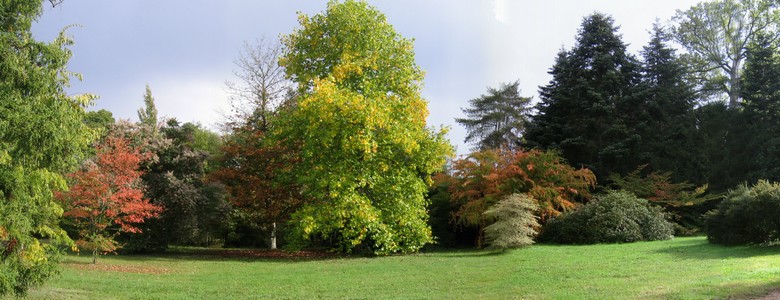 Arboretum national des Barres - Journées de l'Arbre - My Loire Valley