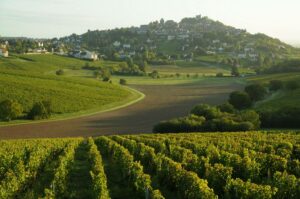 Sancerre